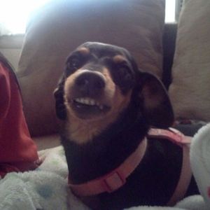 Meet your Posher, Debbie